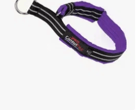 Fully Padded Reflective Martingale Dog Collar, Purple, Large