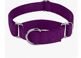 Heavyduty Nylon Martingale Dog Collar, Purple, Medium: 15 to 21 inch