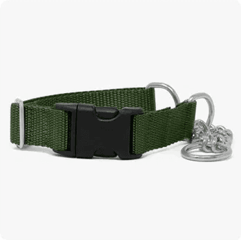 Chain Webbing Martingale Collar