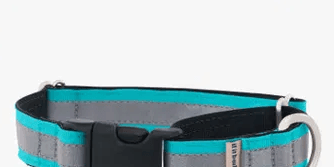Reflective Comfort Martingale Collar