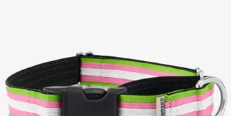Striped Comfort Martingale Collar