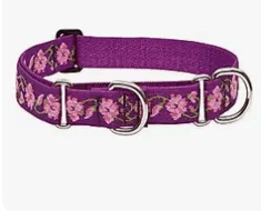 Martingale Dog Collar, Rose Garden, Large: 15 to 22 inch