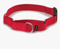 Quick Snap Buckle Nylon Martingale Dog Collar, Red, Large: 13 to 20 inch