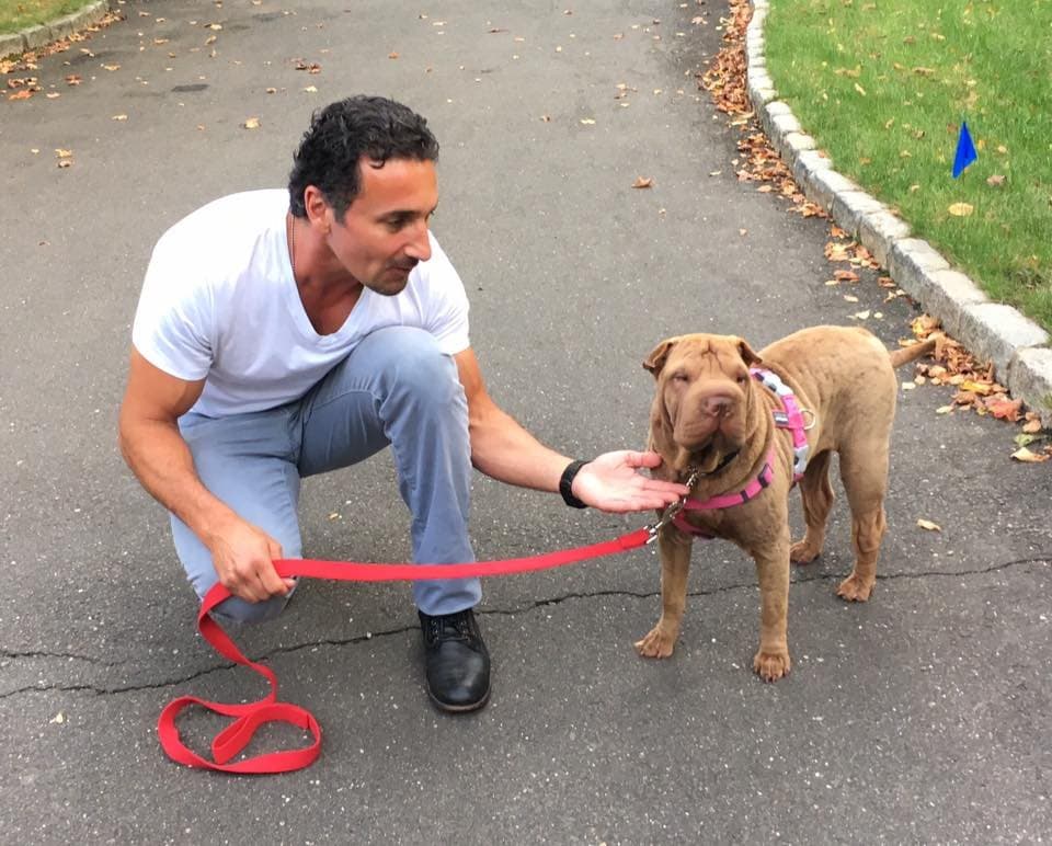 Mike Konstantaras with a dog